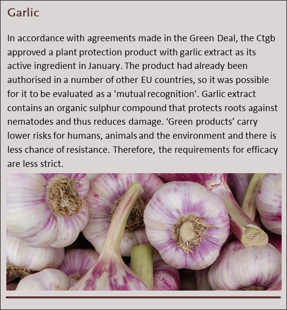 Textframe on garlic extract annual report