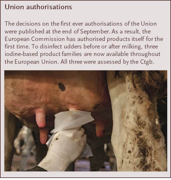 Union authorisation