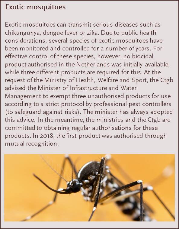 Exotic mosquitoes