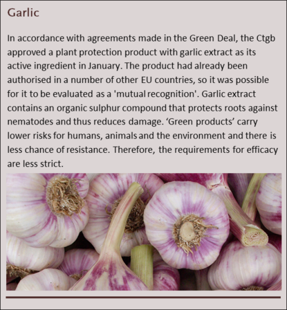 Kadertekst Garlic